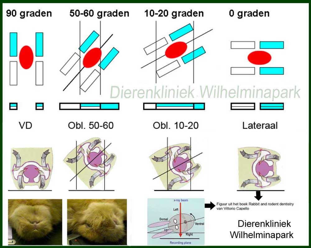 We maken 6 opnames onder diverse hoeken
